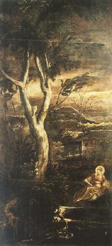 Mary Magdalene, TINTORETTO, Jacopo